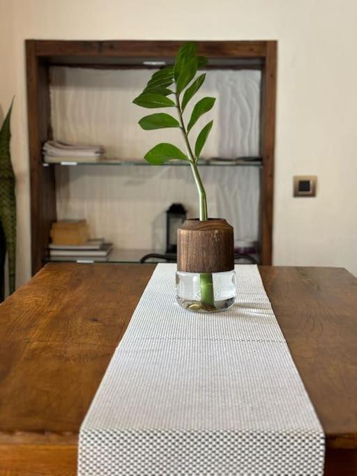 サンタクルスデテネリフェ La Casa Viejaヴィラ エクステリア 写真